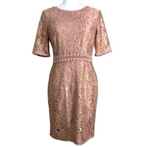 ANN TAYLOR Dress Lace Short Sleeve Rose Gold 4P
